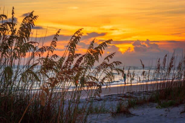 5d283e80 8cdd 42 esisi